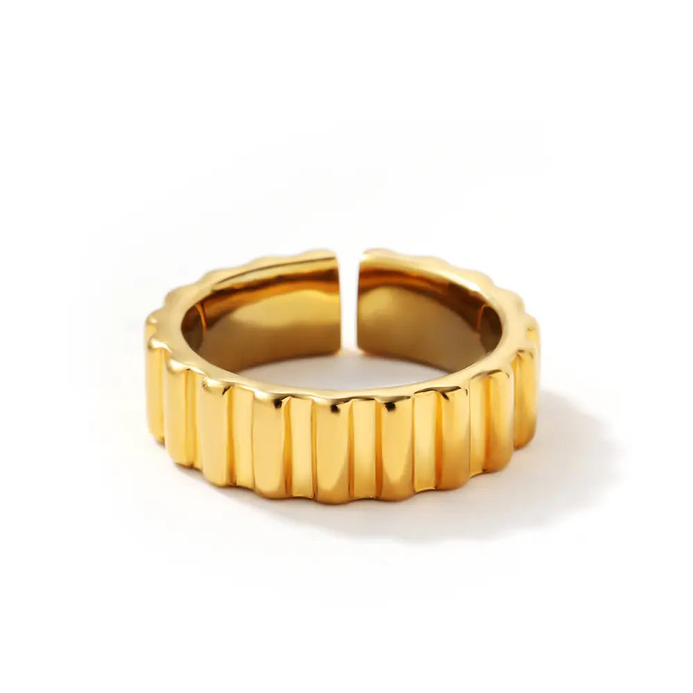 Stainless Steel Cast Gear Ring