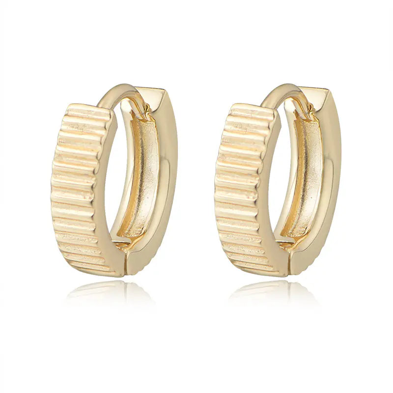 Women 925 Sterling Silver Fashion Earrings