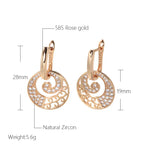Vintage hollow inlaid zircon earrings